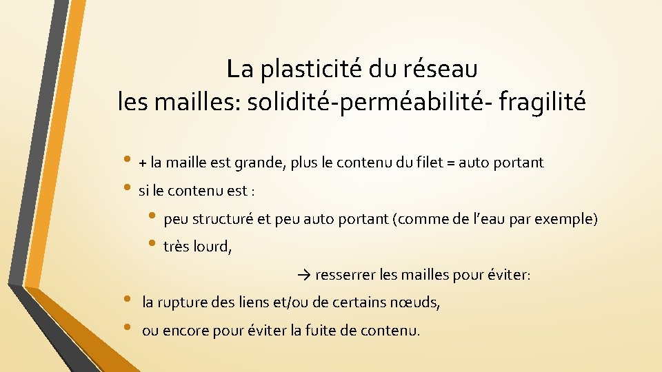 La plasticité du réseau les mailles: solidité-perméabilité- fragilité • + la maille est grande,