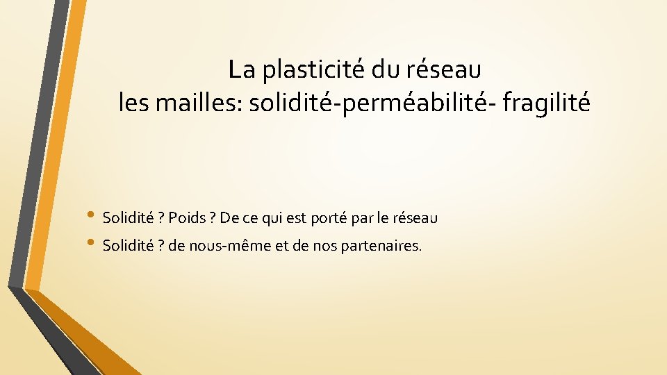 La plasticité du réseau les mailles: solidité-perméabilité- fragilité • Solidité ? Poids ? De