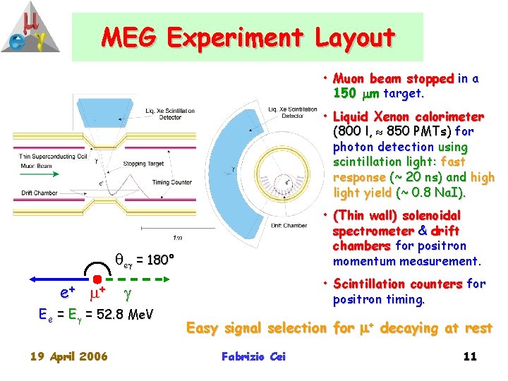 MEG Experiment Layout • Muon beam stopped in a 150 m target. • Liquid