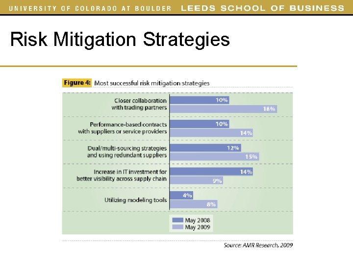 Risk Mitigation Strategies Risk Mitigation Strategies