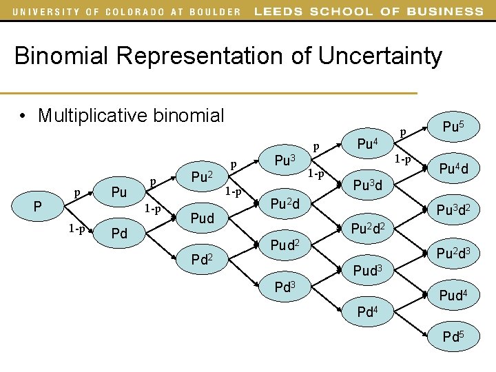 Binomial Representation of Uncertainty • Multiplicative binomial p p P Pu p 1 -p Binomial Representation of Uncertainty • Multiplicative binomial p p P Pu p 1 -p