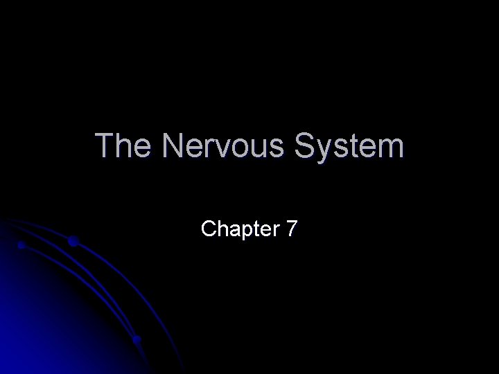 The Nervous System Chapter 7 