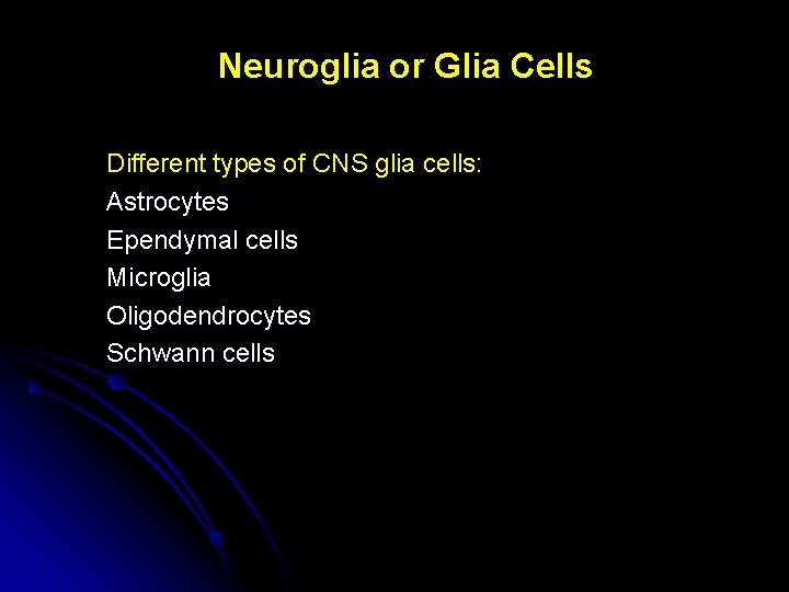 Neuroglia or Glia Cells Different types of CNS glia cells: Astrocytes Ependymal cells Microglia