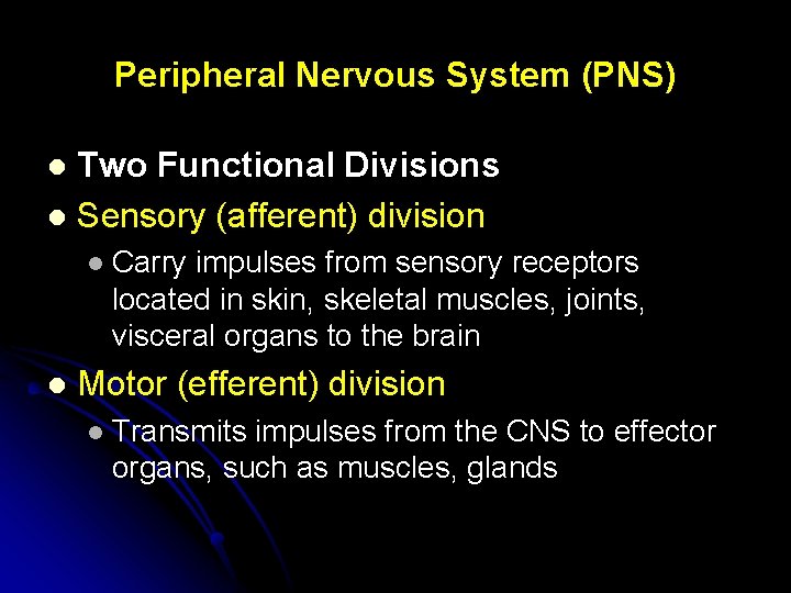 Peripheral Nervous System (PNS) Two Functional Divisions l Sensory (afferent) division l l l