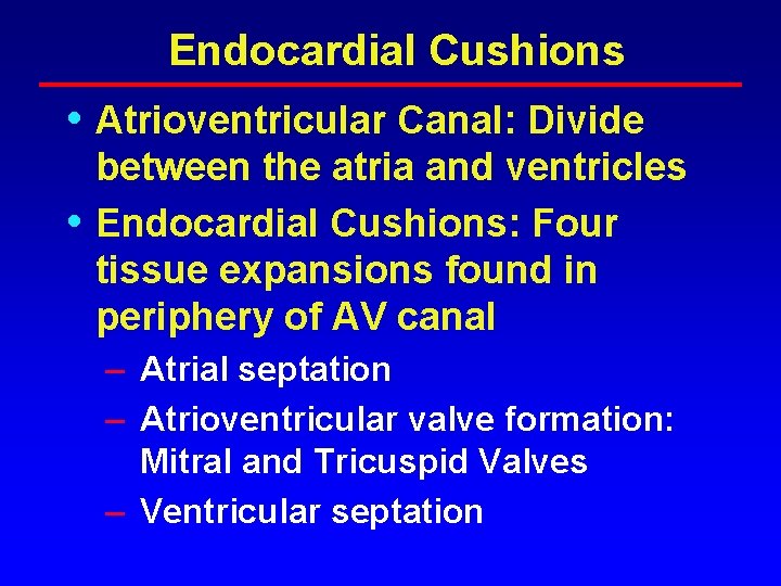 Endocardial Cushions • Atrioventricular Canal: Divide • between the atria and ventricles Endocardial Cushions: Endocardial Cushions • Atrioventricular Canal: Divide • between the atria and ventricles Endocardial Cushions:
