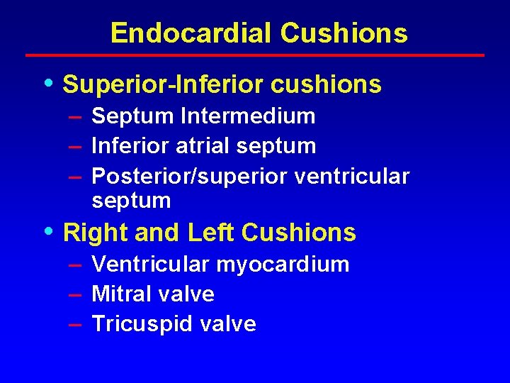 Endocardial Cushions • Superior-Inferior cushions – Septum Intermedium – Inferior atrial septum – Posterior/superior Endocardial Cushions • Superior-Inferior cushions – Septum Intermedium – Inferior atrial septum – Posterior/superior