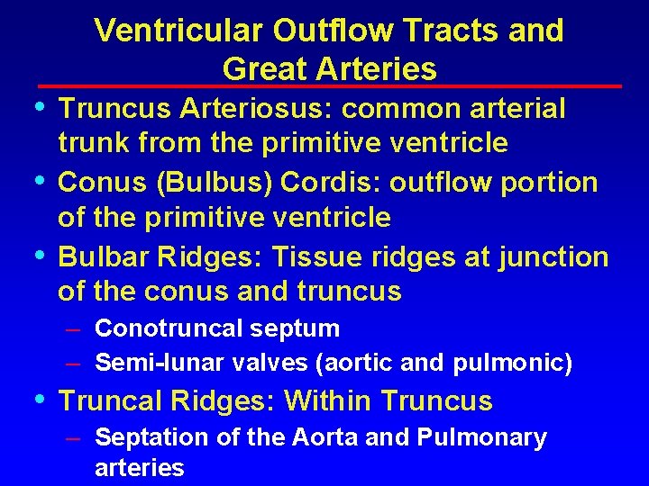 • • • Ventricular Outflow Tracts and Great Arteries Truncus Arteriosus: common arterial • • • Ventricular Outflow Tracts and Great Arteries Truncus Arteriosus: common arterial