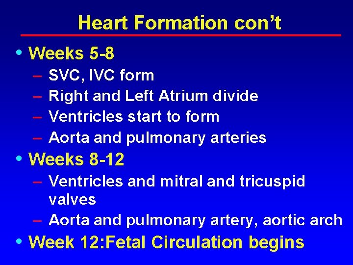 Heart Formation con’t • Weeks 5 -8 – – SVC, IVC form Right and Heart Formation con’t • Weeks 5 -8 – – SVC, IVC form Right and