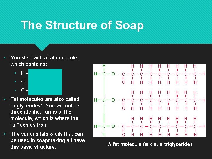 The Structure of Soap • You start with a fat molecule, which contains: •