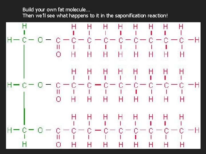 Build your own fat molecule… Then we’ll see what happens to it in the