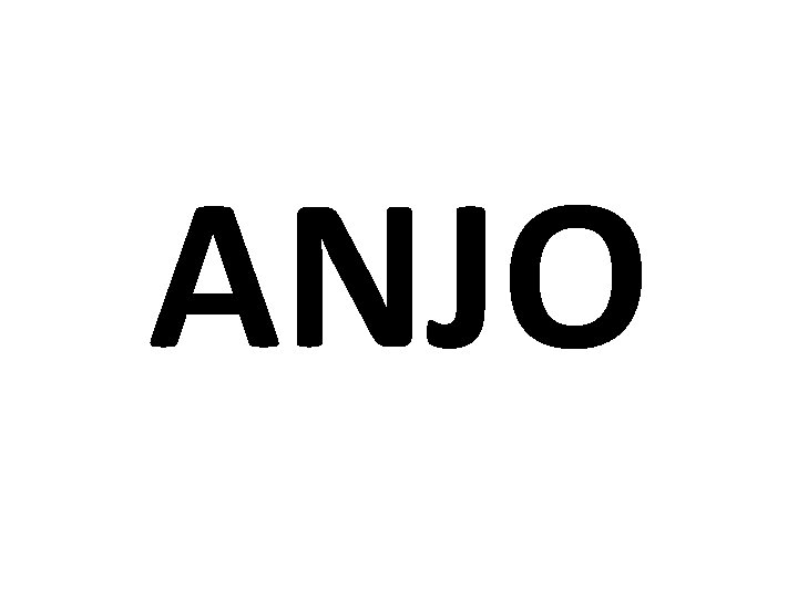 ANJO 