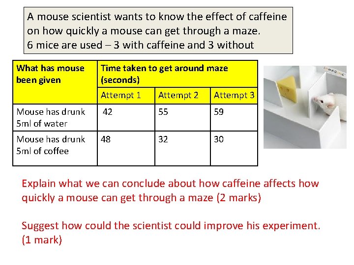 A mouse scientist wants to know the effect of caffeine on how quickly a