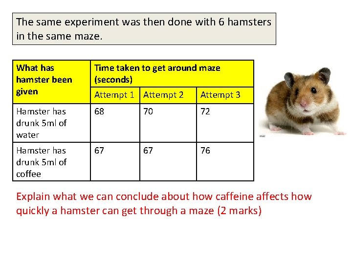 The same experiment was then done with 6 hamsters in the same maze. What