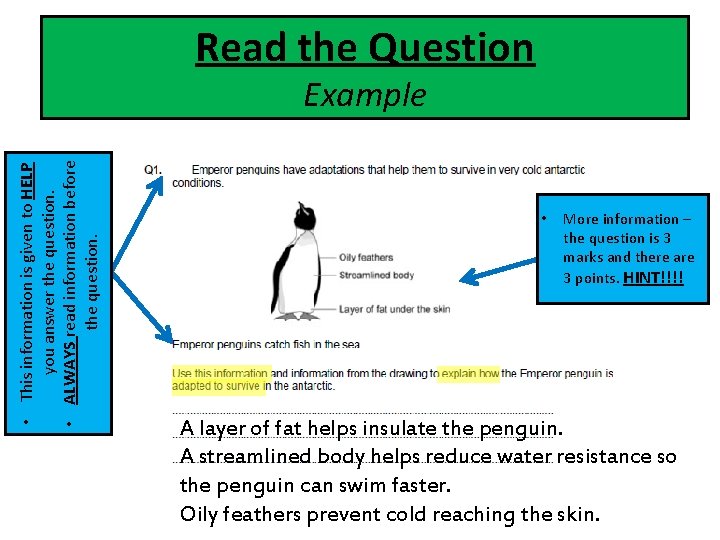 Read the Question • This information is given to HELP you answer the question.