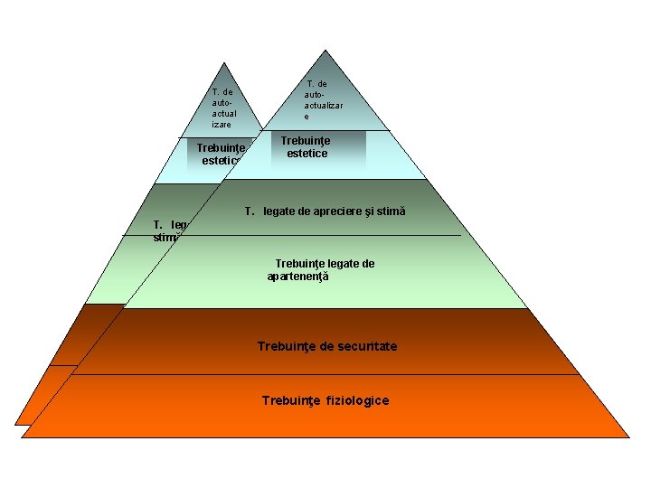 T. de autoactual izare Trebuinţe estetice T. de autoactualizar e Trebuinţe estetice T. legate