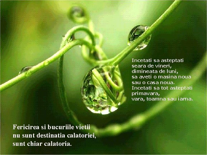 Incetati sa asteptati seara de vineri, dimineata de luni, sa aveti o masina noua