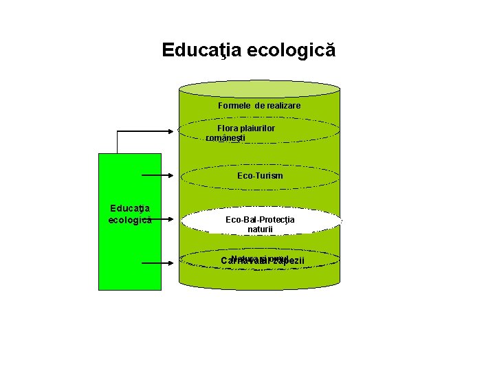 Educaţia ecologică Formele de realizare Flora plaiurilor româneşti Eco-Turism Educaţia ecologică Eco-Bal-Protecţia naturii Natura