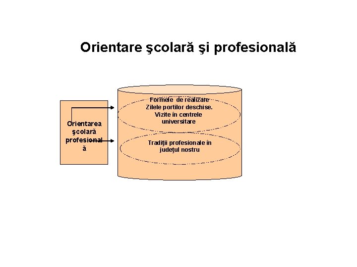 Orientare şcolară şi profesională Orientarea şcolară profesional ă Formele de realizare Zilele portilor deschise.