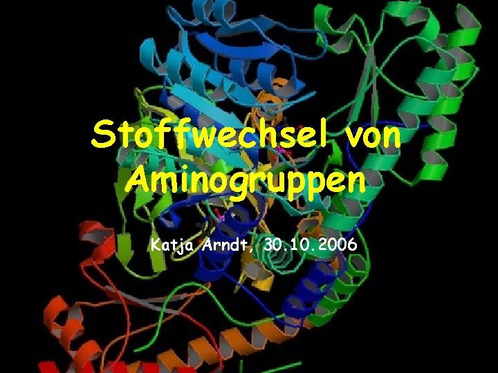 Stoffwechsel von Aminogruppen Katja Arndt, 30. 10. 2006 