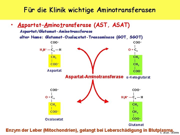Für die Klinik wichtige Aminotransferasen • Aspartat-Aminotransferase (AST, ASAT) Aspartat/Glutamat-Aminotransferase alter Name: Glutamat-Oxalacetat-Transaminase (GOT,