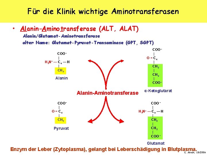 Für die Klinik wichtige Aminotransferasen • Alanin-Aminotransferase (ALT, ALAT) Alanin/Glutamat-Aminotransferase alter Name: Glutamat-Pyruvat-Transaminase (GPT,