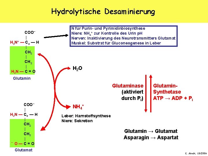 Hydrolytische Desaminierung COO− | — Cα — H | CH 2 | H 2