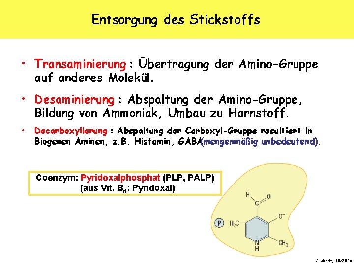 Entsorgung des Stickstoffs • Transaminierung : Übertragung der Amino-Gruppe auf anderes Molekül. • Desaminierung
