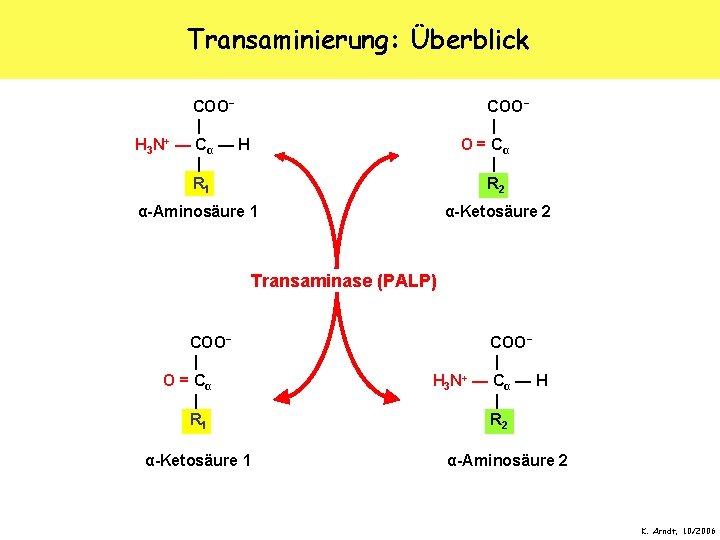 Transaminierung: Überblick COO− | H 3 N+ — C α — H | R