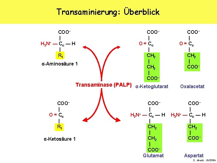 Transaminierung: Überblick COO− | H 3 N+ — C α — H | R