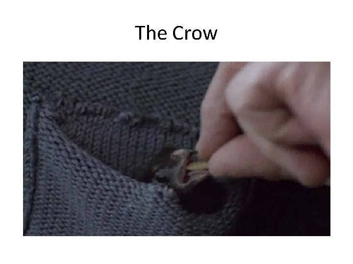 The Crow 