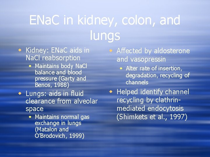 ENa. C in kidney, colon, and lungs w Kidney: ENa. C aids in Na.