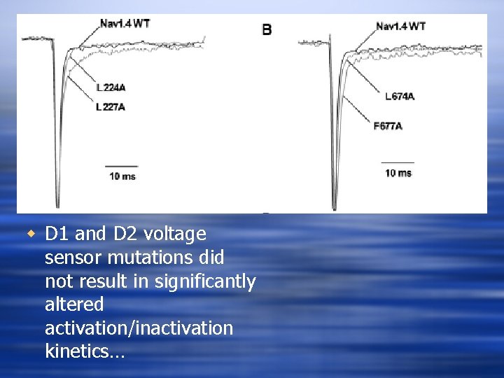 w D 1 and D 2 voltage sensor mutations did not result in significantly
