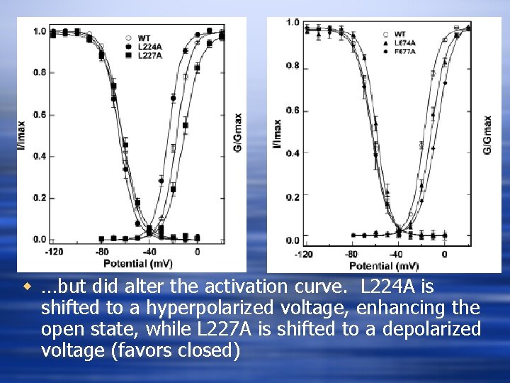 w …but did alter the activation curve. L 224 A is shifted to a