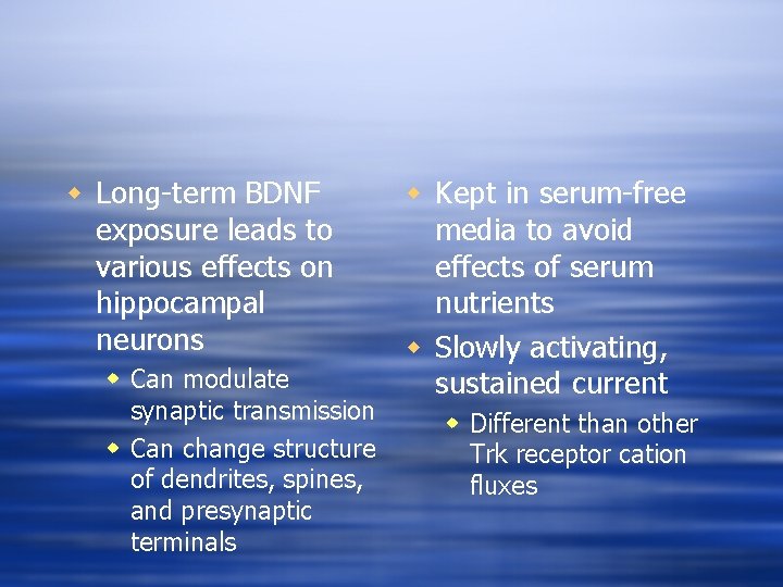 w Long-term BDNF exposure leads to various effects on hippocampal neurons w Can modulate