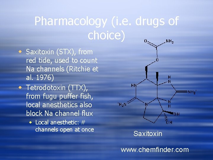 Pharmacology (i. e. drugs of choice) w Saxitoxin (STX), from red tide, used to