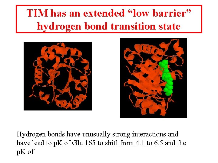 TIM has an extended “low barrier” hydrogen bond transition state Hydrogen bonds have unusually