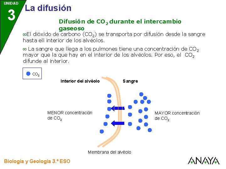 UNIDAD 3 La difusión Difusión de CO 2 durante el intercambio gaseoso El dióxido