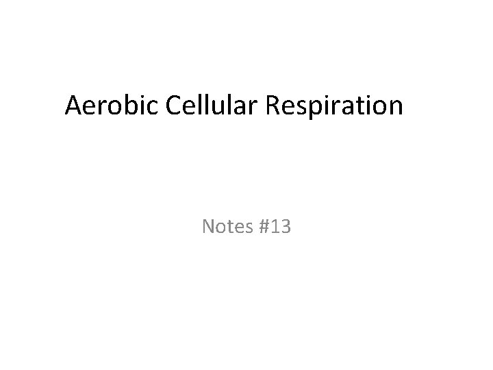 Aerobic Cellular Respiration Notes #13 