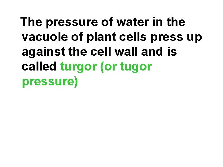 The pressure of water in the vacuole of plant cells press up against the