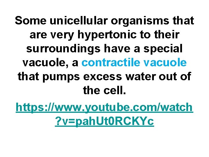 Some unicellular organisms that are very hypertonic to their surroundings have a special vacuole,