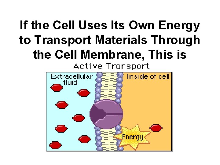 If the Cell Uses Its Own Energy to Transport Materials Through the Cell Membrane,