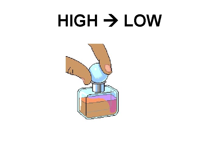 HIGH LOW 