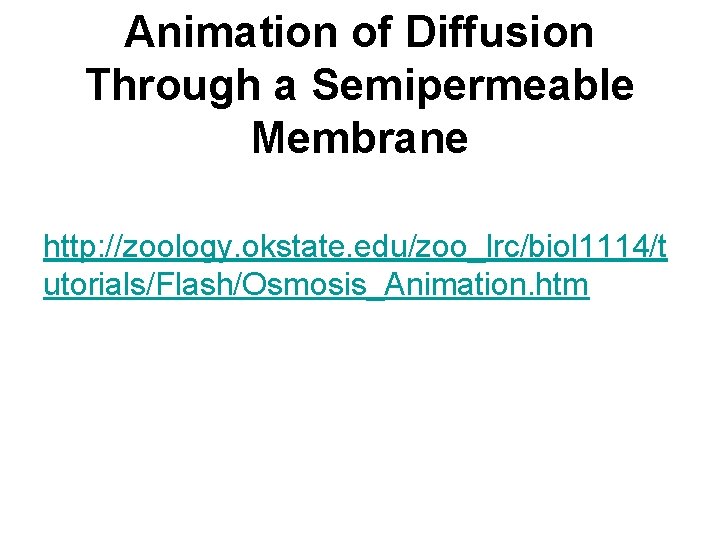 Animation of Diffusion Through a Semipermeable Membrane http: //zoology. okstate. edu/zoo_lrc/biol 1114/t utorials/Flash/Osmosis_Animation. htm