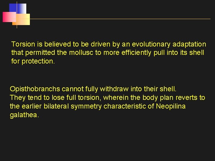 Torsion is believed to be driven by an evolutionary adaptation that permitted the mollusc