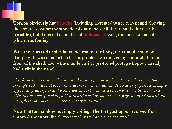 Torsion obviously has benefits (including increased water current and allowing the animal to withdraw