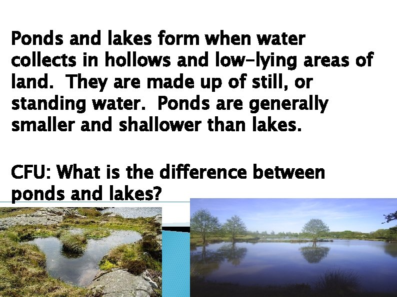 Ponds and lakes form when water collects in hollows and low-lying areas of land.