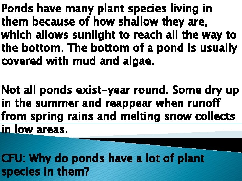 Ponds have many plant species living in them because of how shallow they are,