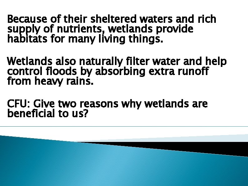 Because of their sheltered waters and rich supply of nutrients, wetlands provide habitats for