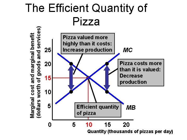 Marginal cost and marginal benefit (dollars worth of goods and services) The Efficient Quantity