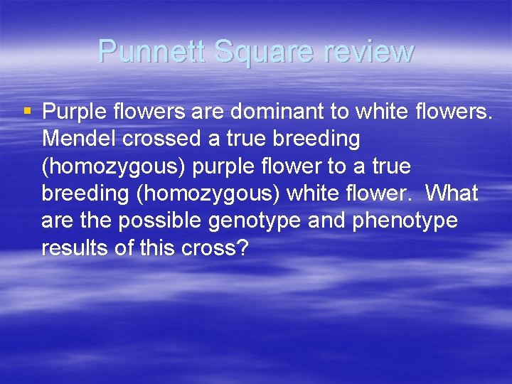 Punnett Square review § Purple flowers are dominant to white flowers. Mendel crossed a